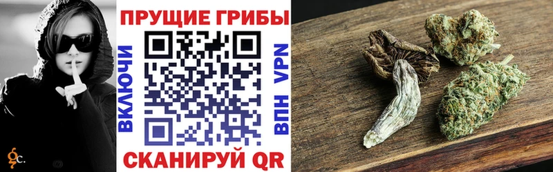 Псилоцибиновые грибы ЛСД  мега ONION  Пушкино 