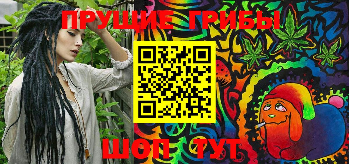 закладка  Вход с VPN  Пушкино  Псилоцибиновые грибы Psilocybe 